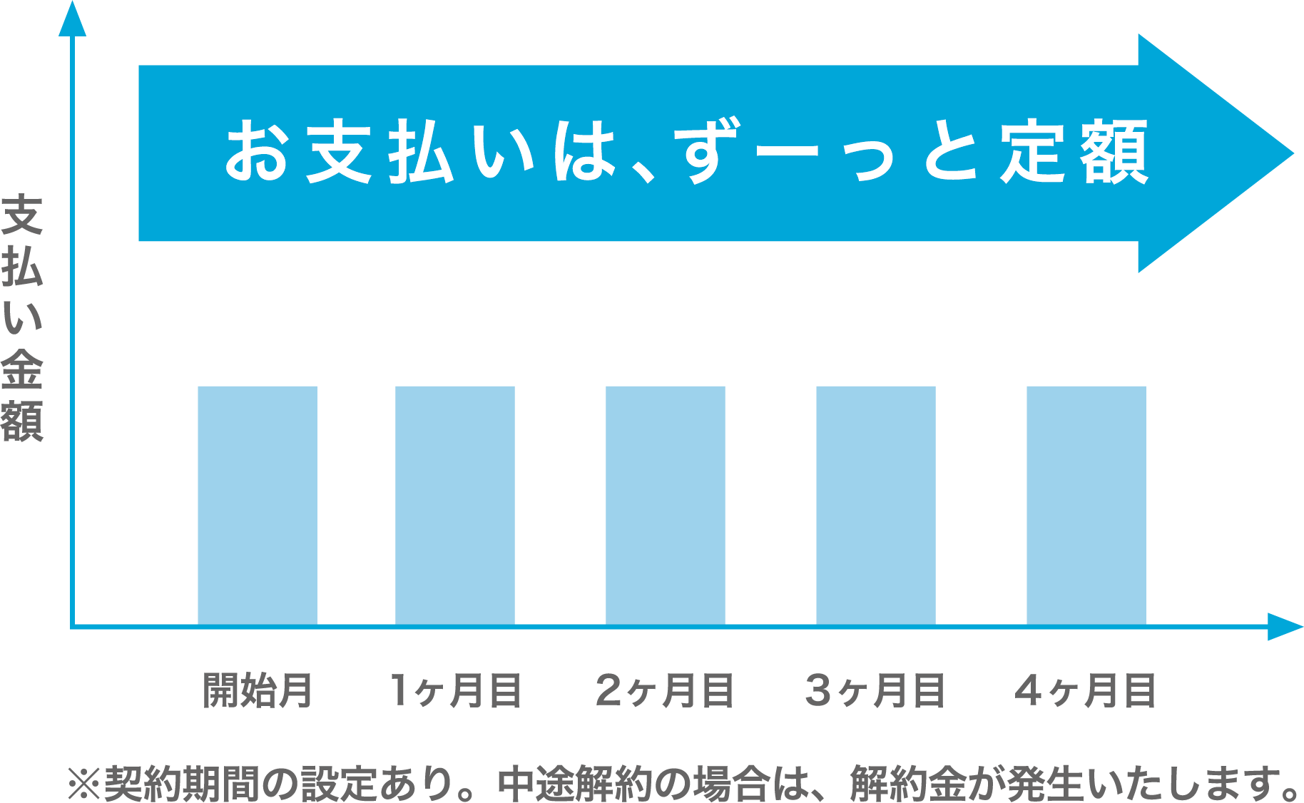 安定の月々定額払い